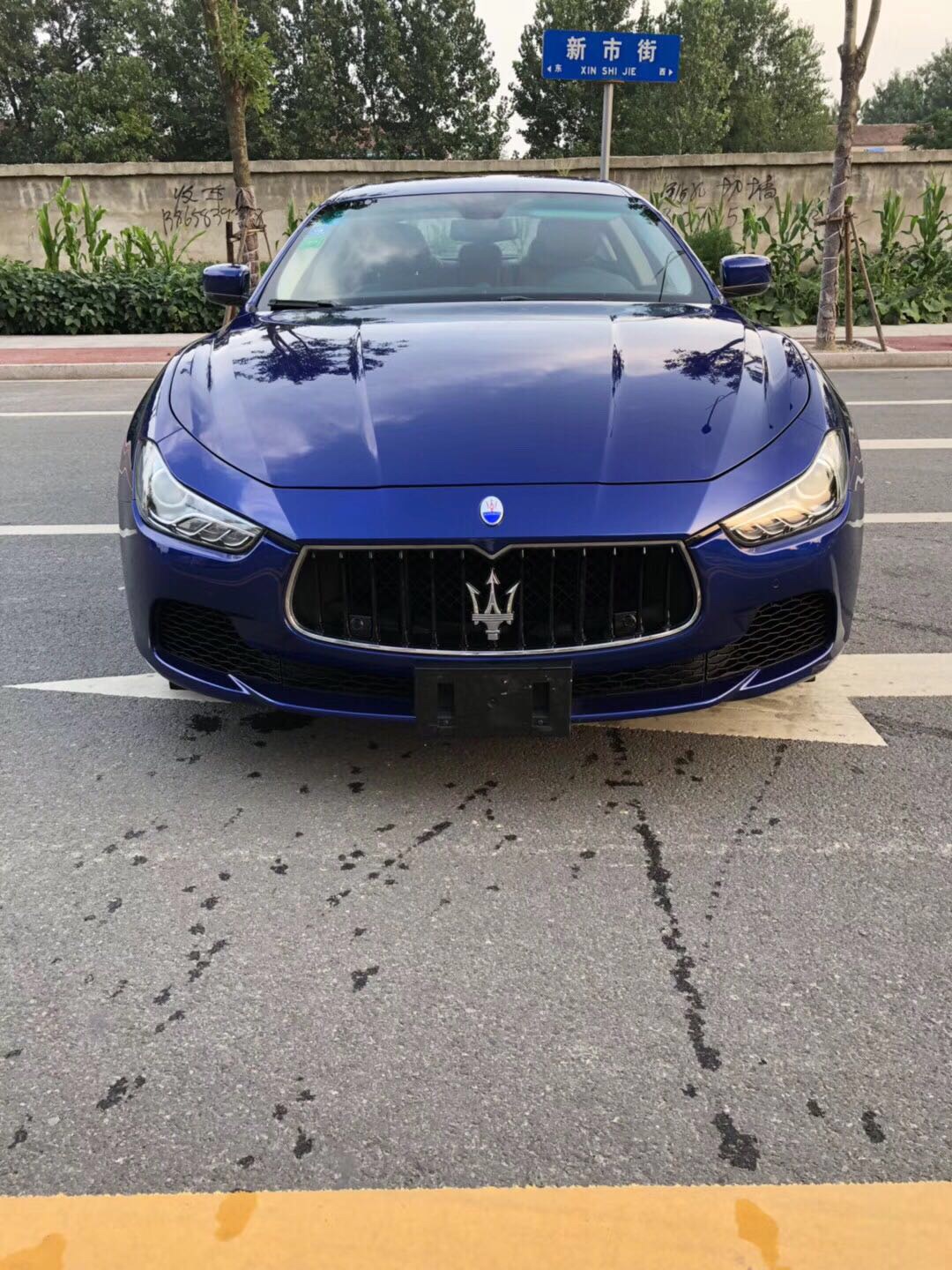 24ɯGhibli