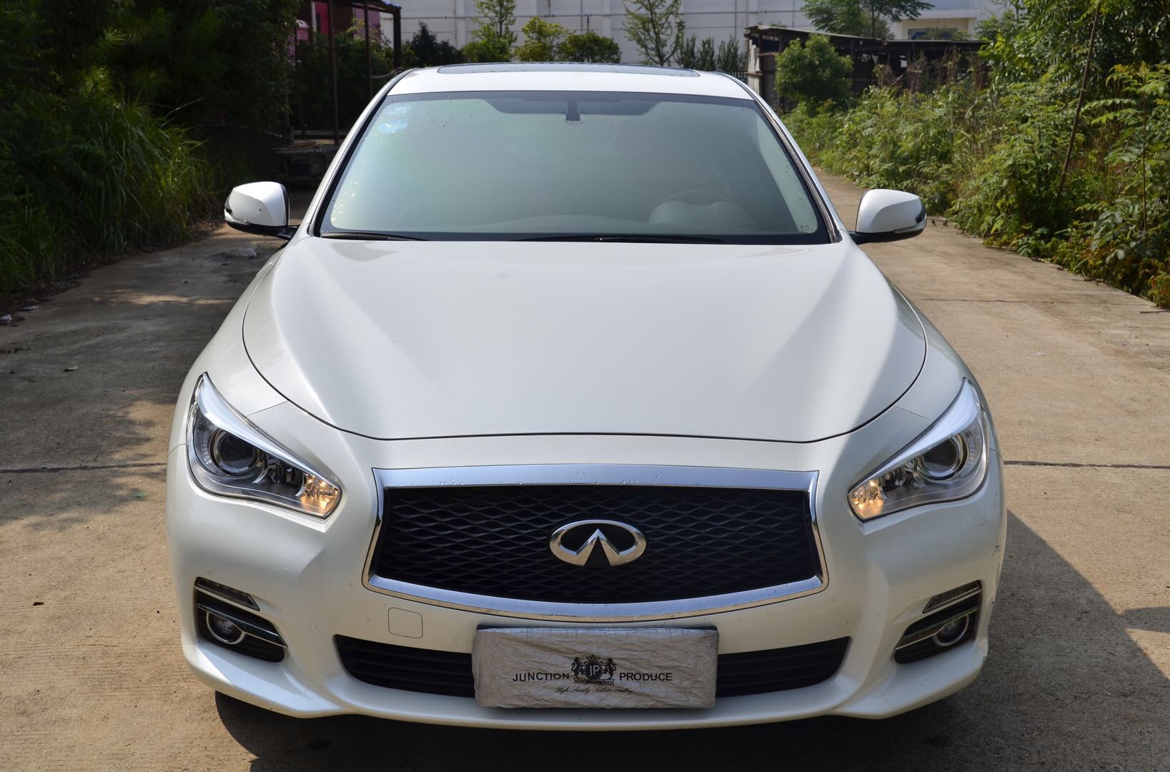 24ӢQ50L