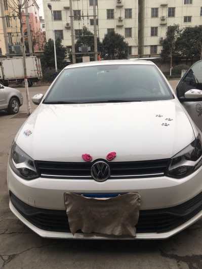 22POLO