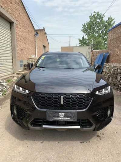 24곤WEY VV7