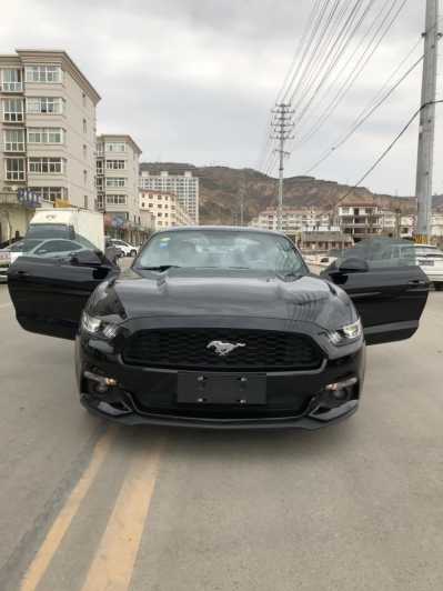 23긣ҰMustang