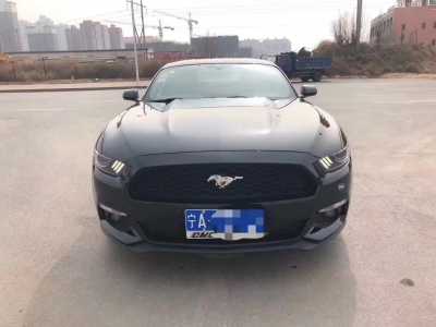 24긣ҰMustang