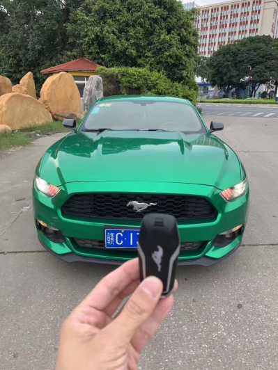 23긣ҰMustang