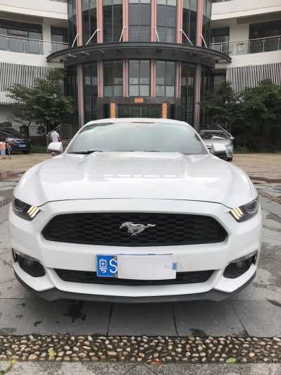 23긣ҰMustang
