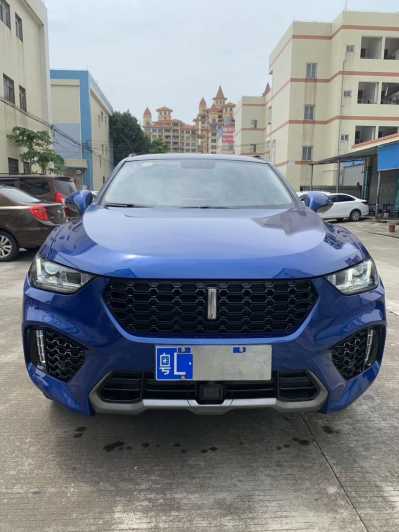 24곤WEY VV5