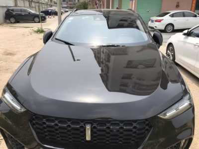 麣24곤WEY VV7