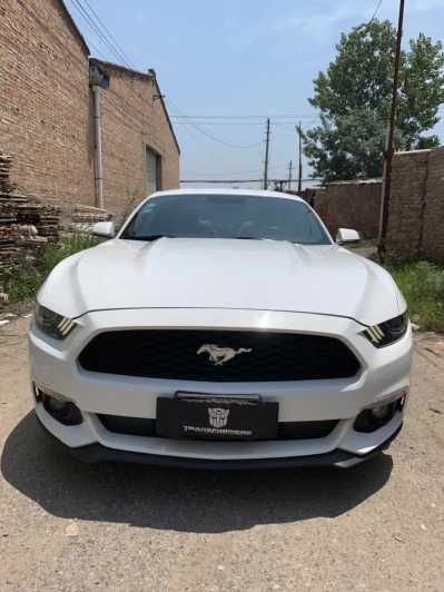 Ȫ21긣ҰMustang