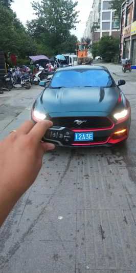 22긣ҰMustang