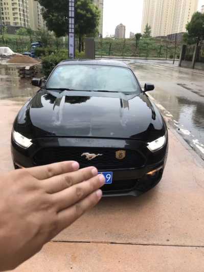 21긣ҰMustang