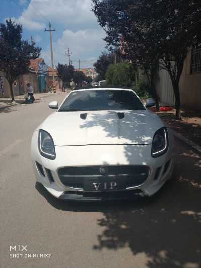 ׯ19ݱF-TYPE