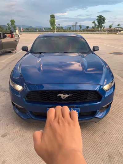 23긣ҰMustang