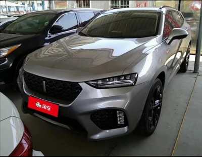 Ϻ24곤WEY VV7