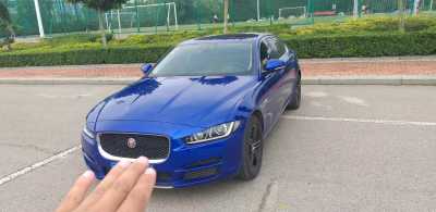 24ݱXJ
