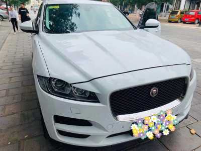 Ϋ22ݱF-PACE
