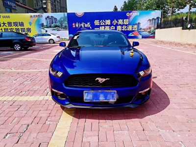 Ƽ22긣ҰMustang