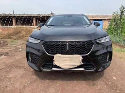Ȫ23곤WEY VV7