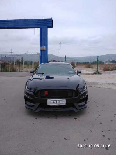 21긣ҰMustang
