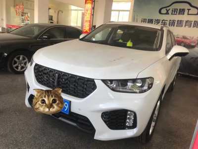 25곤WEY VV5