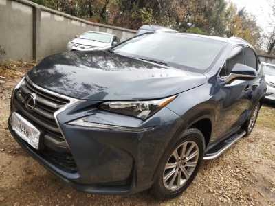 21׿˹NX