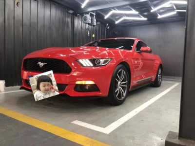 22긣ҰMustang
