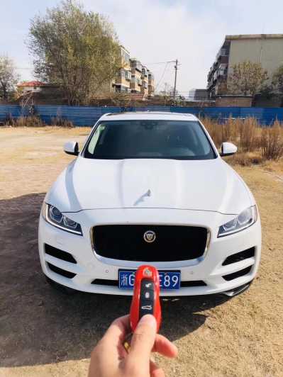 24ݱF-PACE