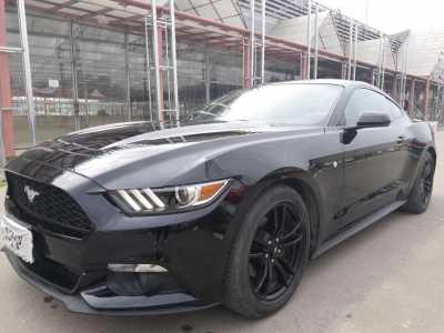 23긣ҰMustang