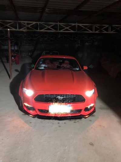 21긣ҰMustang