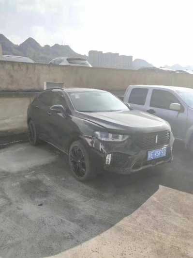 24곤WEY VV5