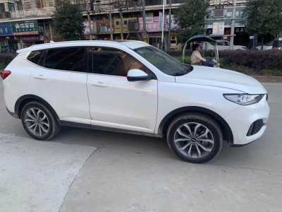 25곤WEY VV6