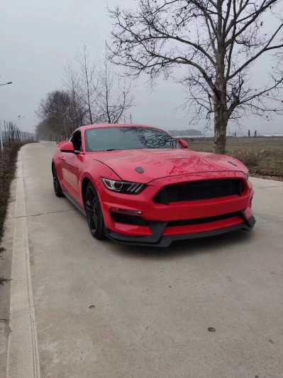 21긣ҰMustang