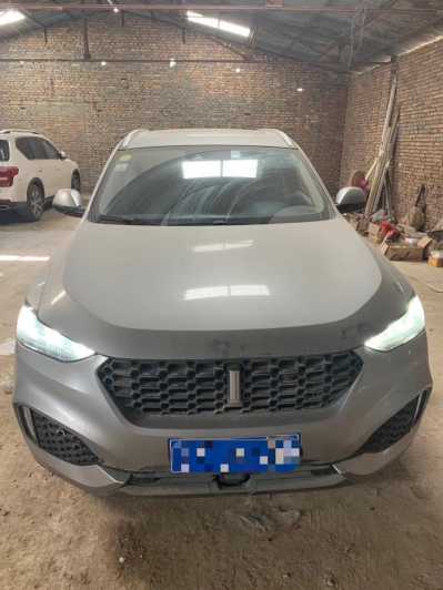 24곤WEY VV6