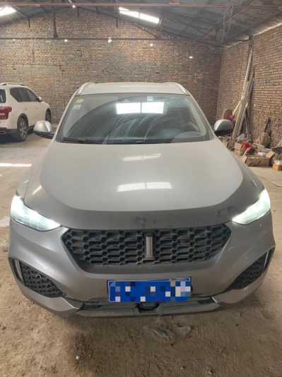 22곤WEY VV6