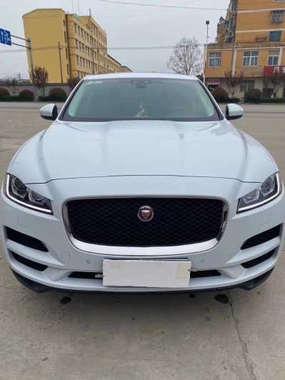 24ݱF-PACE