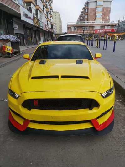 22긣ҰMustang