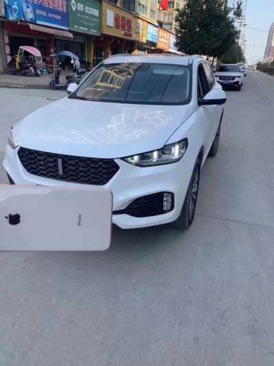 25곤WEY VV6