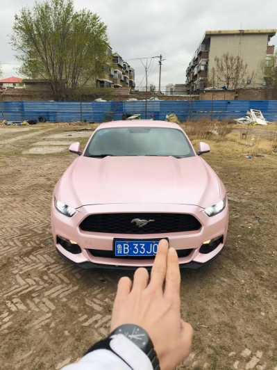 23긣ҰMustang