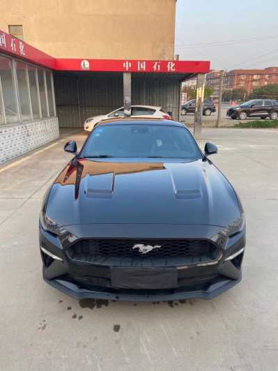 25긣ҰMustang