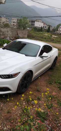 22긣ҰMustang