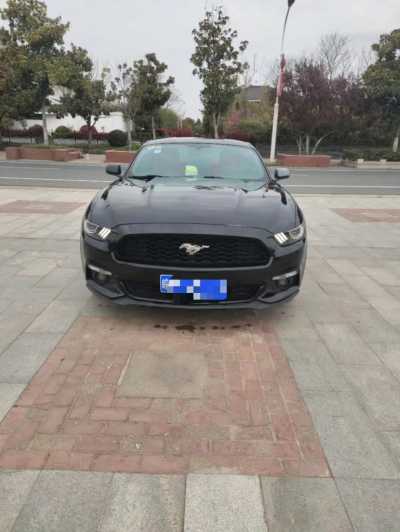 22긣ҰMustang