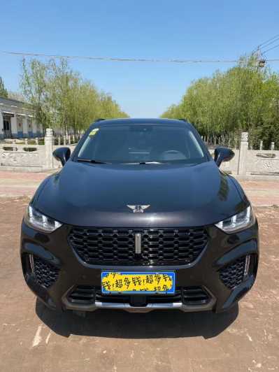 24곤WEY VV5