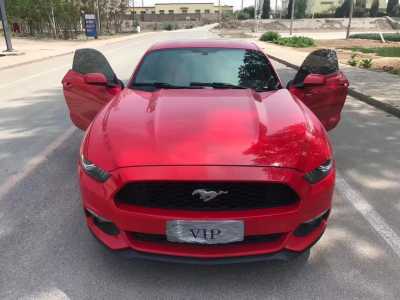 21긣ҰMustang