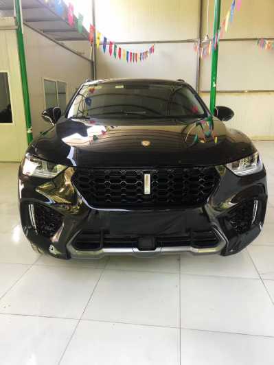 24곤WEY VV5