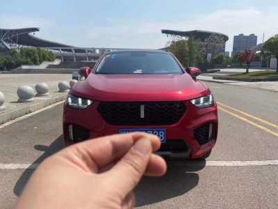 24곤WEY VV5