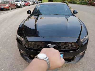 22긣ҰMustang