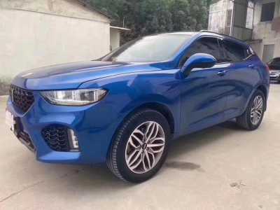24곤WEY VV5