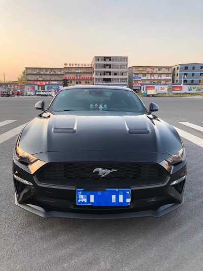 25긣ҰMustang