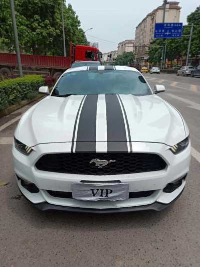 23긣ҰMustang