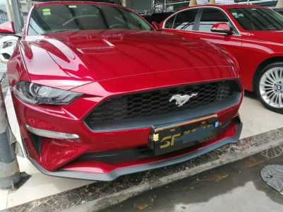 24긣ҰMustang