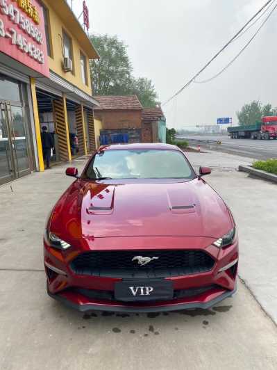 25긣ҰMustang