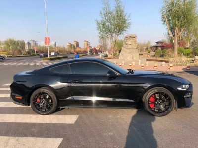 ػʵ25긣ҰMustang